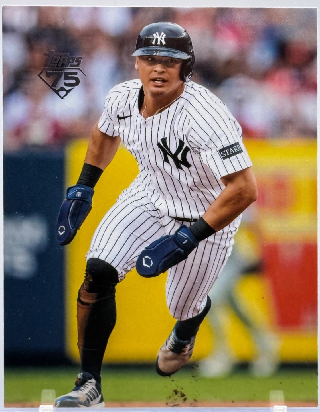 Anthony Volpe [True Photo Variation] #308