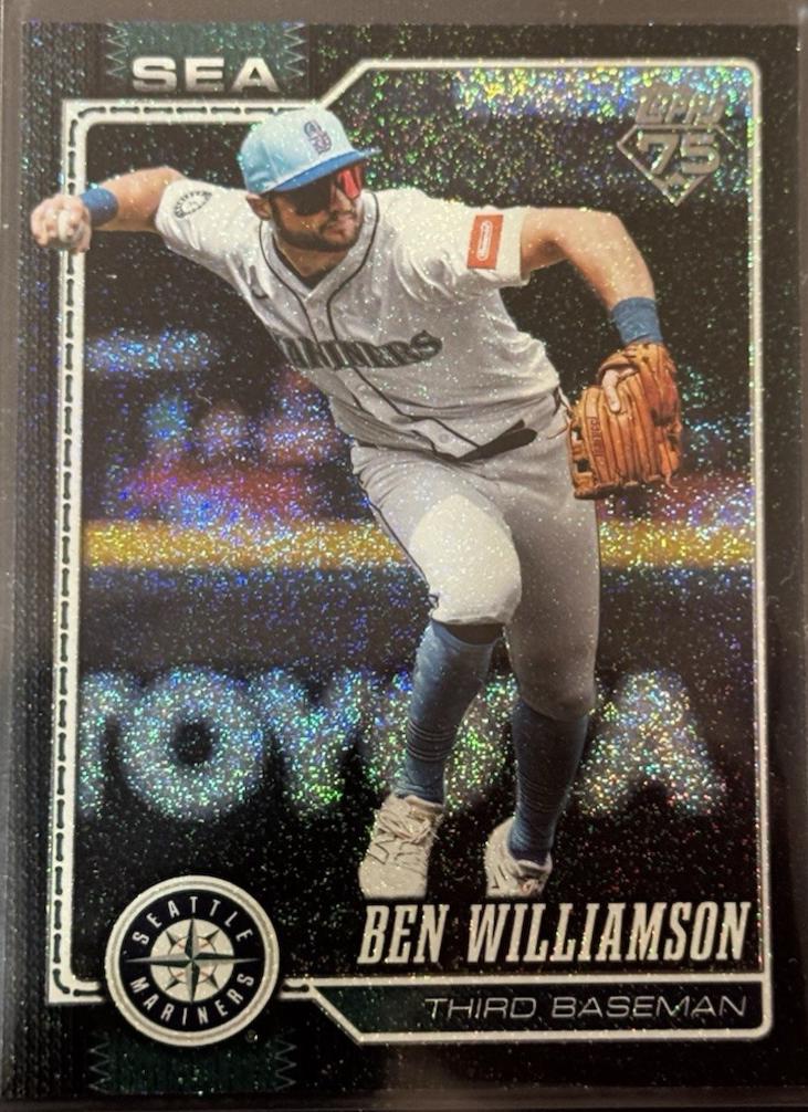 Ben Williamson [Black Sandglitter] #226