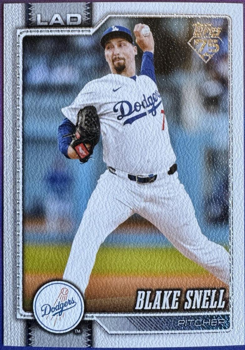 Blake Snell [Canvas] #340