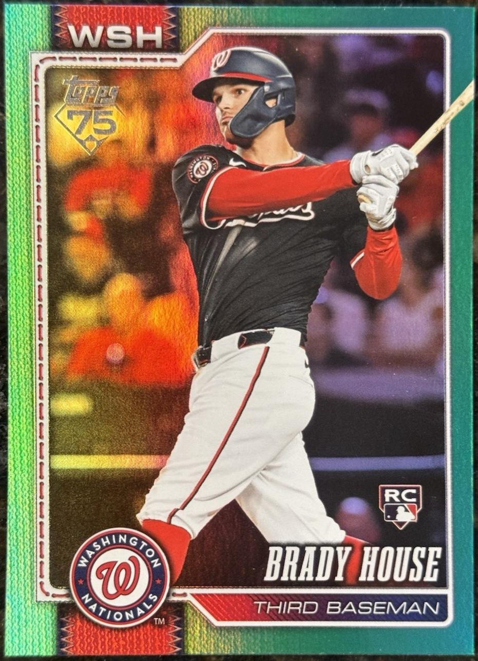 Brady House [Green Rainbow] #170