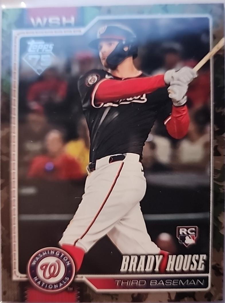 Brady House [Memorial Day Camo] #170