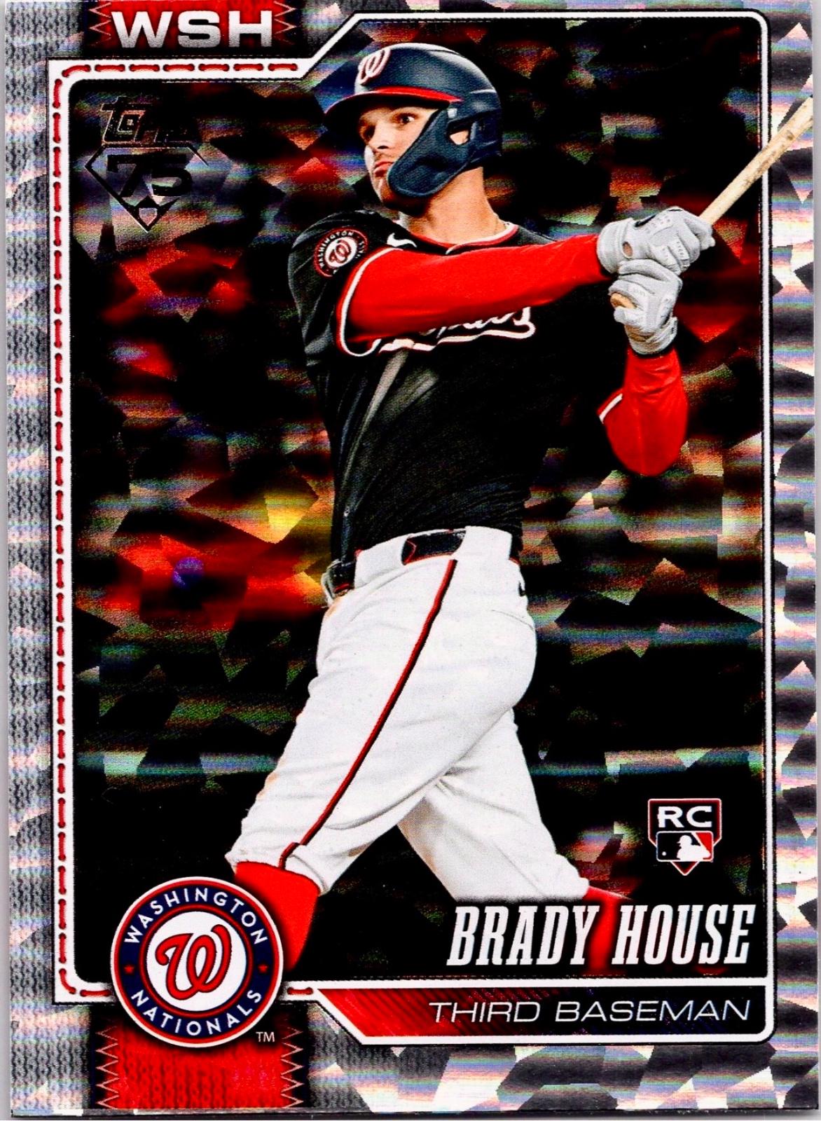 Brady House [Silver Crackleboard] #170