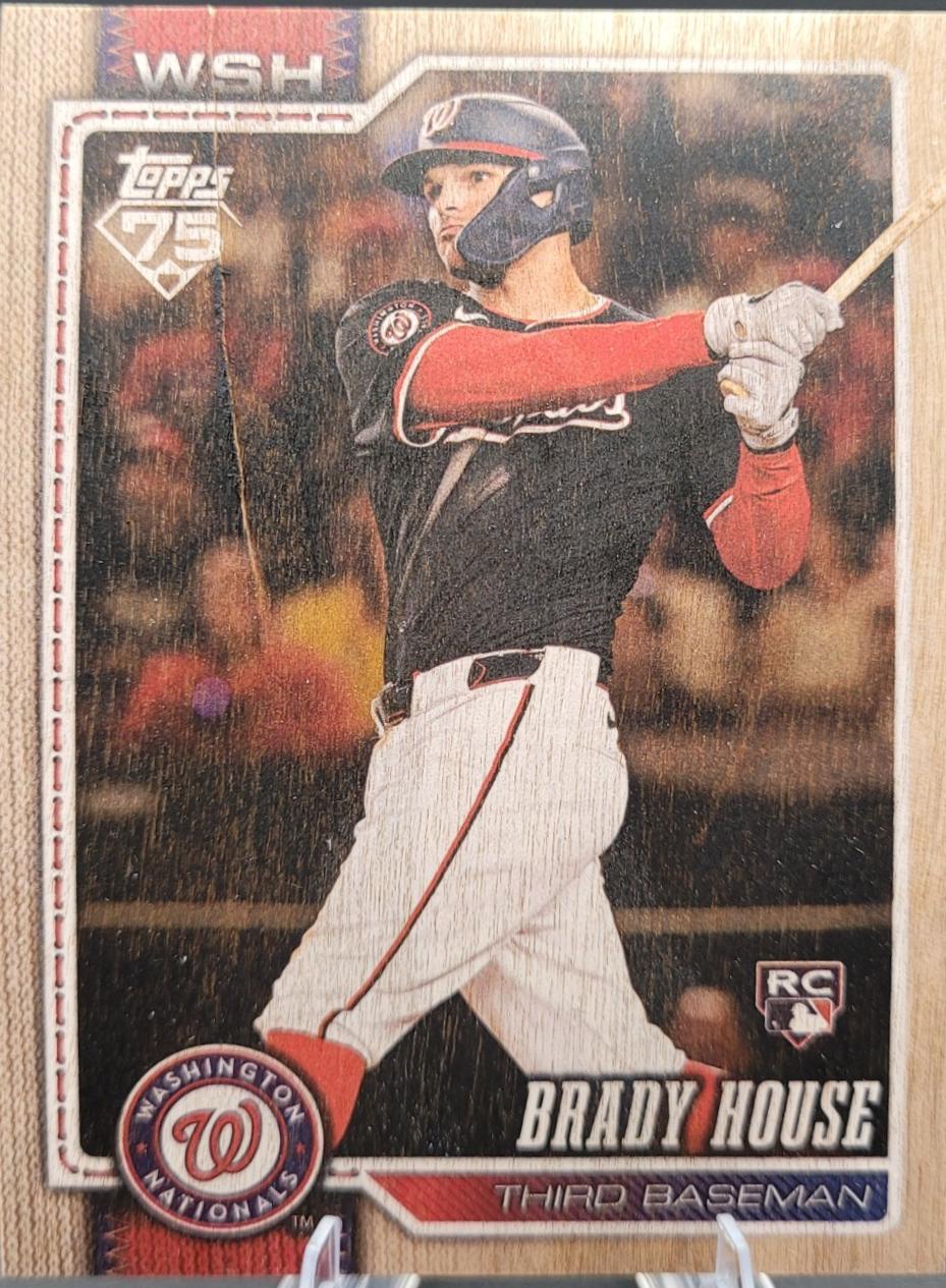 Brady House [Wood] #170