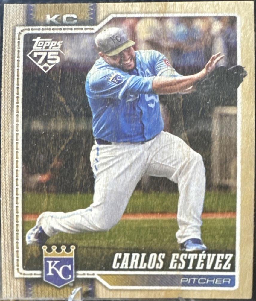 Carlos Estevez [Wood] #234