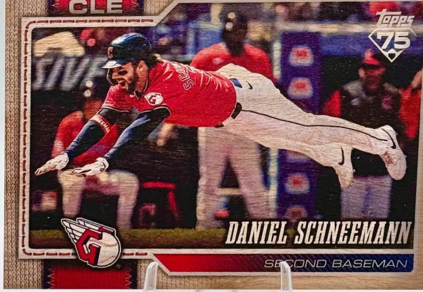 Daniel Schneemann [Wood] #59