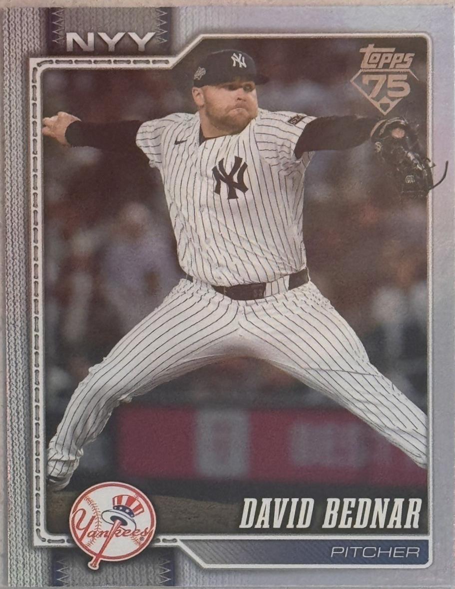 David Bednar [Black Border] #228