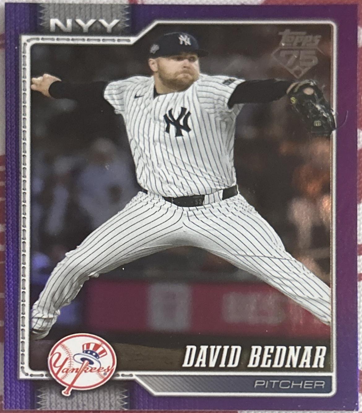 David Bednar [Purple Rainbow] #228