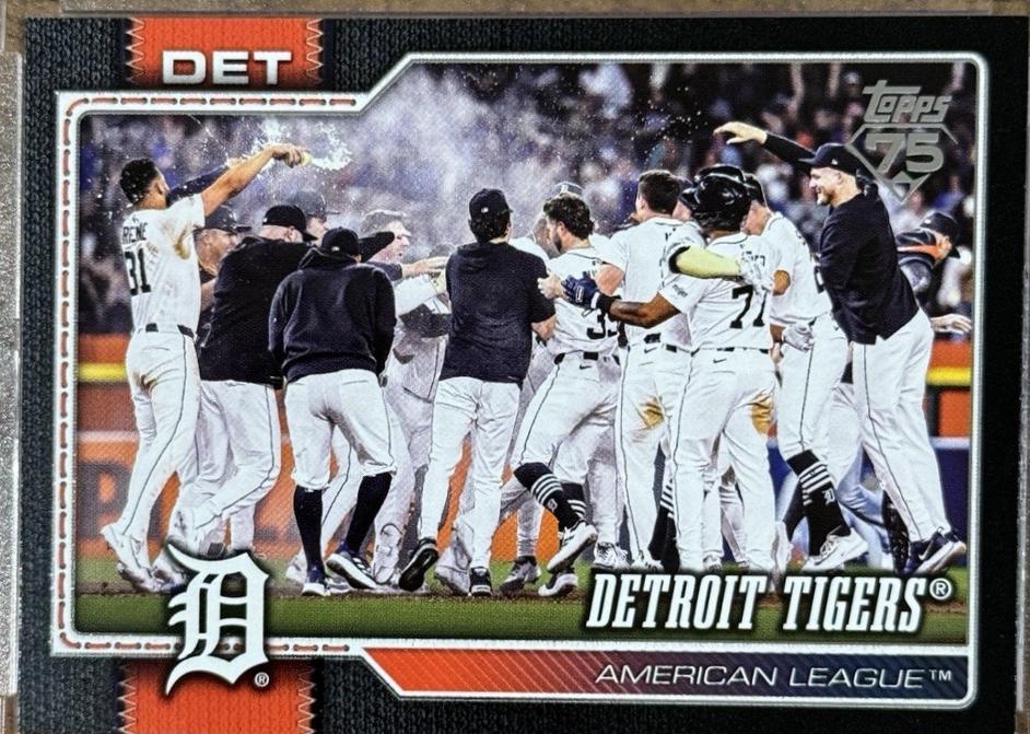 Detroit Tigers [Black Border] #262