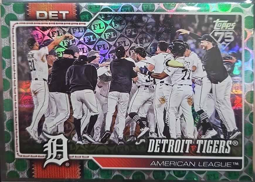 Detroit Tigers [Green Spring Training] #262