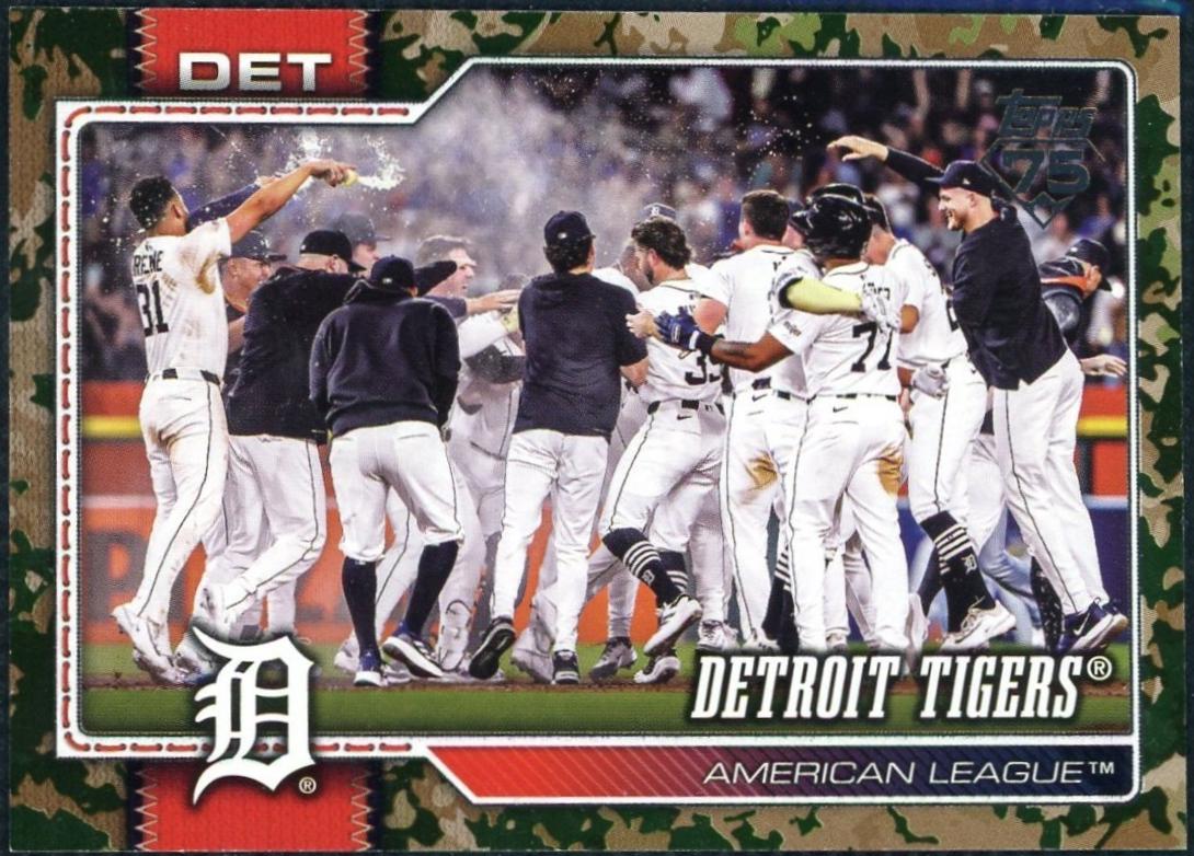 Detroit Tigers [Memorial Day Camo] #262