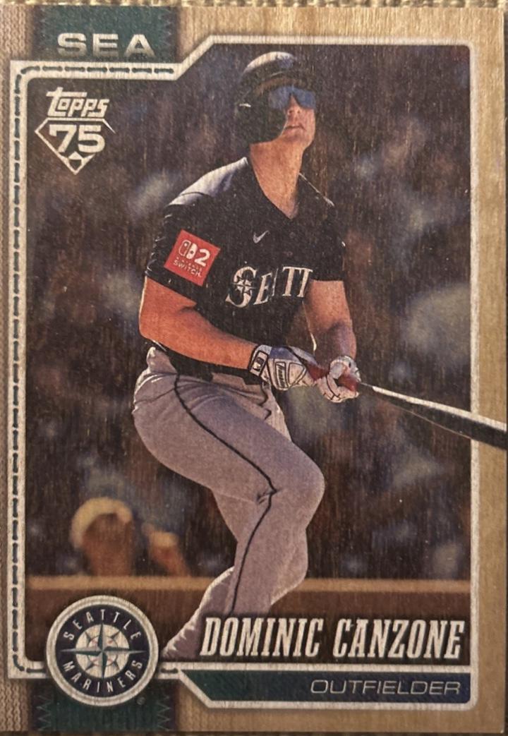 Dominic Canzone [Wood] #156