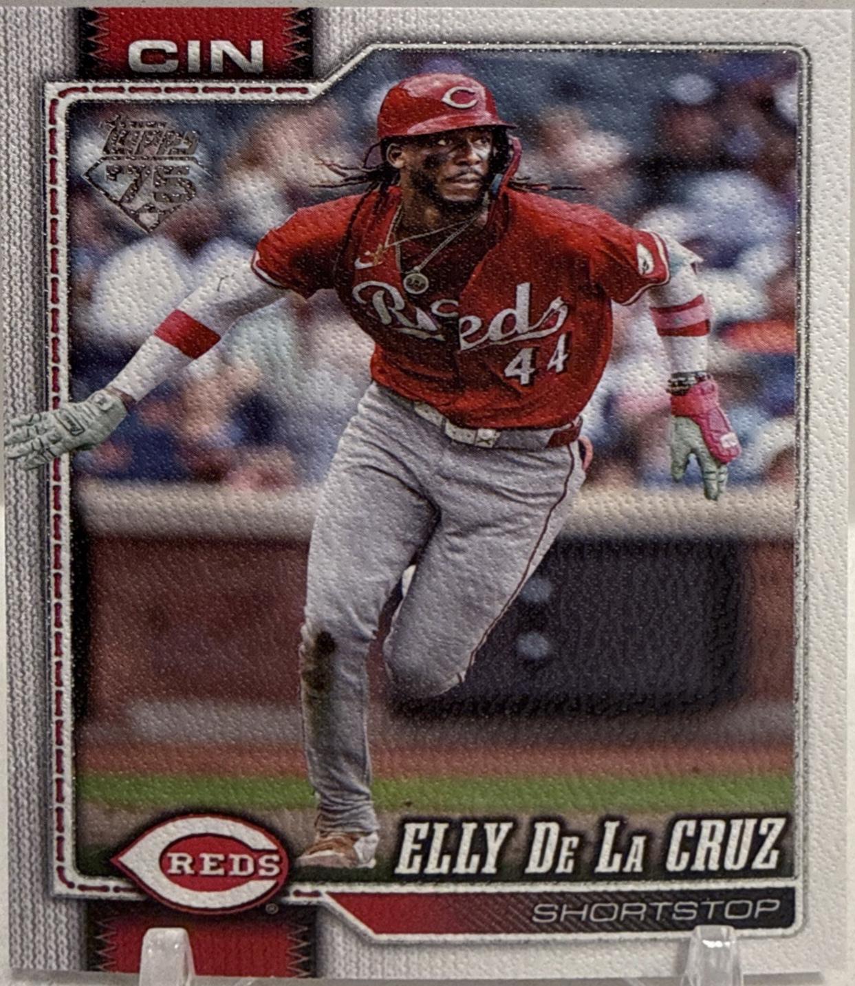 Elly De La Cruz [Canvas] #150