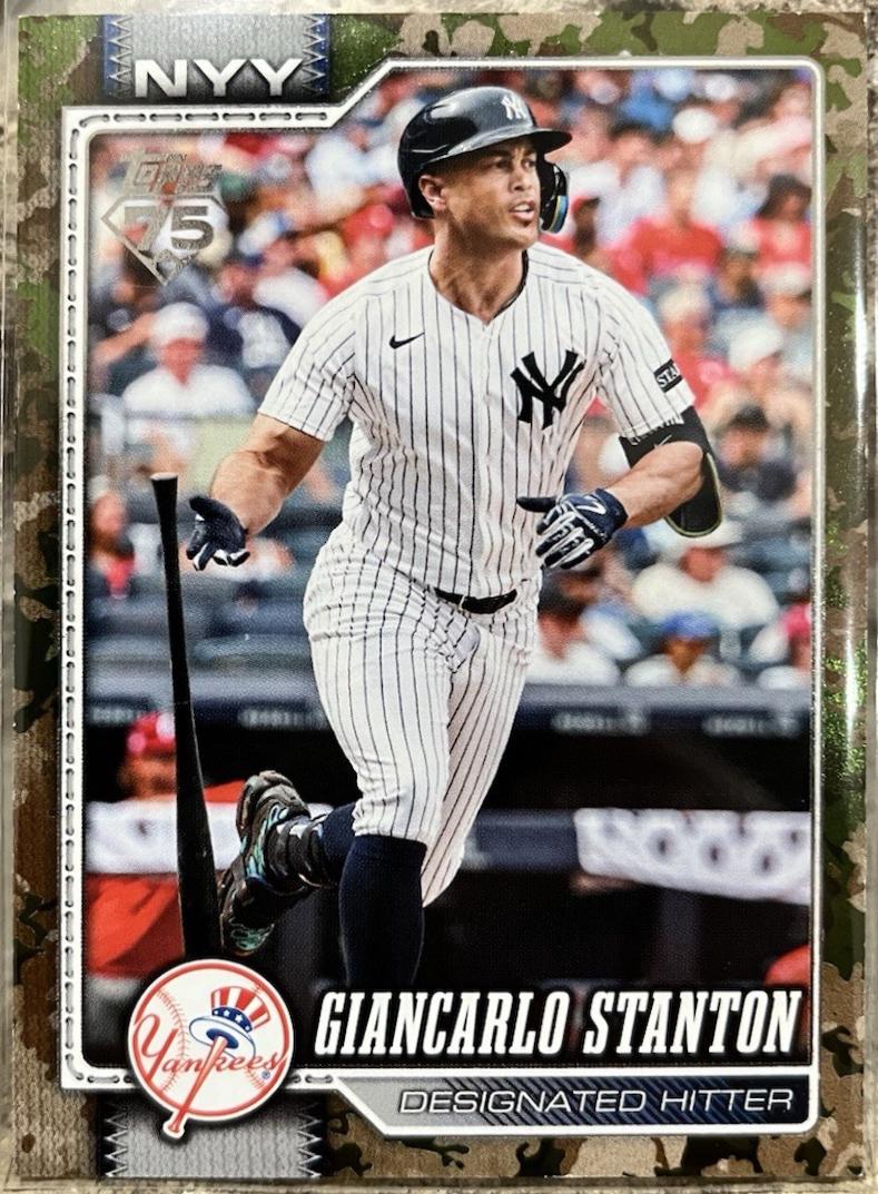 Giancarlo Stanton [Memorial Day Camo] #341