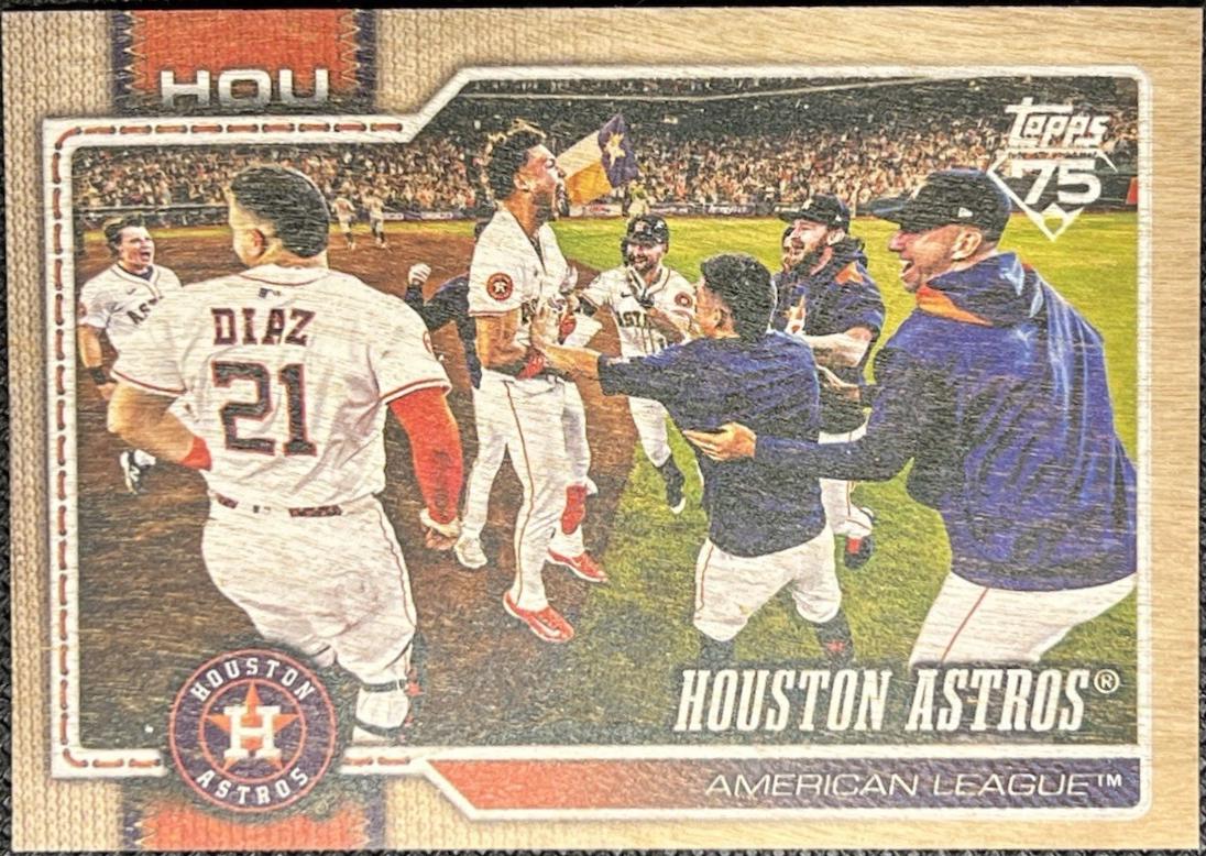 Houston Astros [Wood] #89