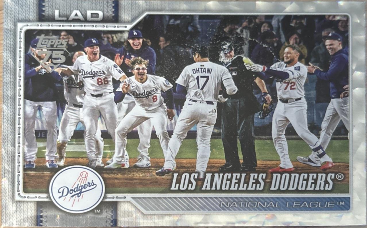 Los Angeles Dodgers [Silver Crackleboard] #256
