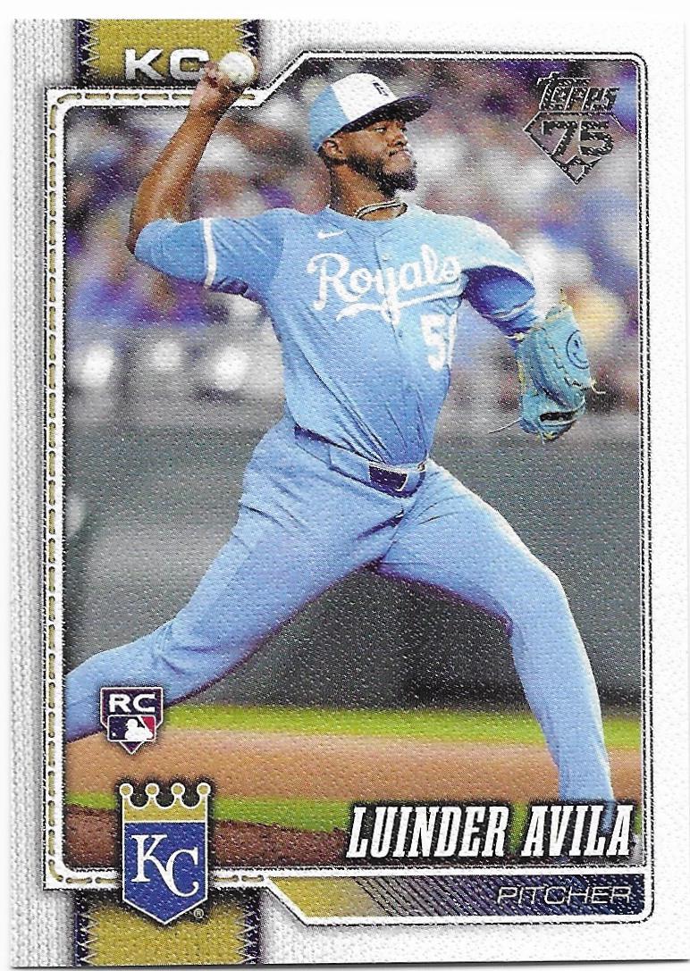 Luinder Avila [Canvas] #120