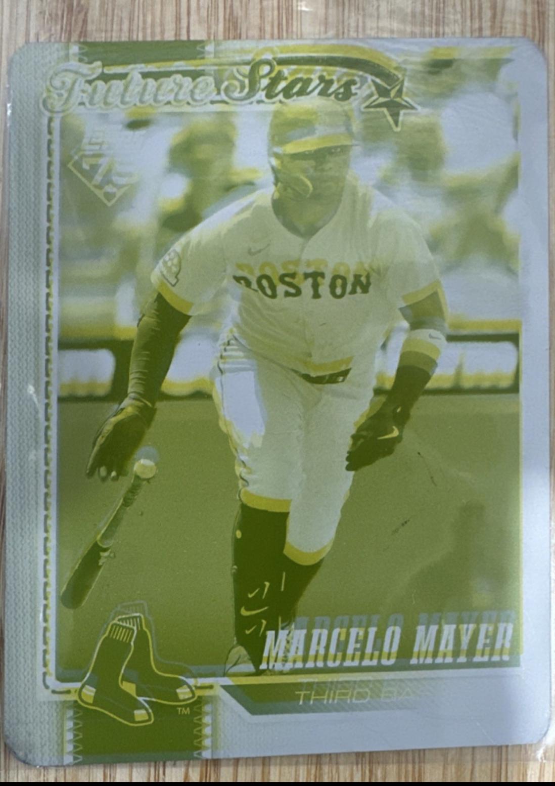 Marcelo Mayer [Printing Plate] #269