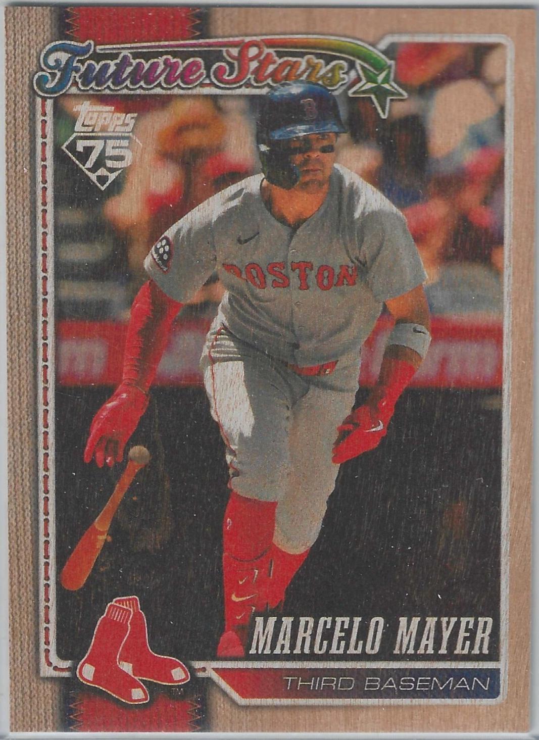 Marcelo Mayer [Wood] #269