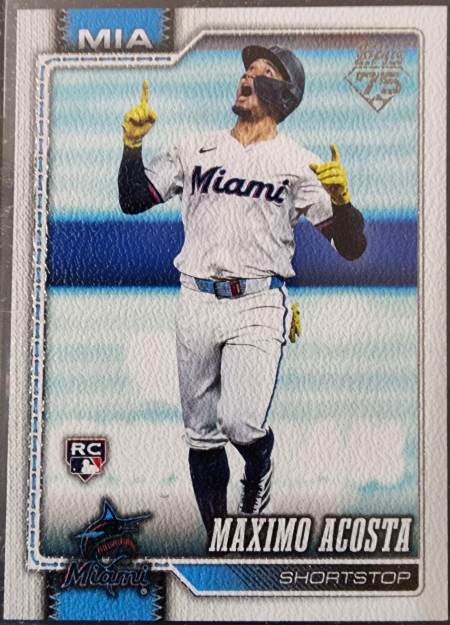 Maximo Acosta [Canvas] #172