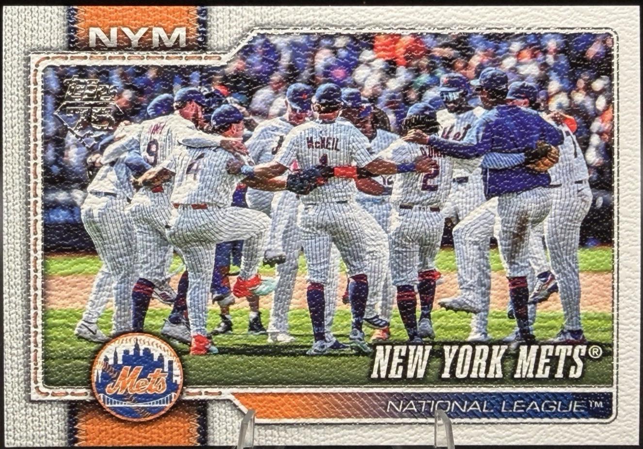 New York Mets [Canvas] #291