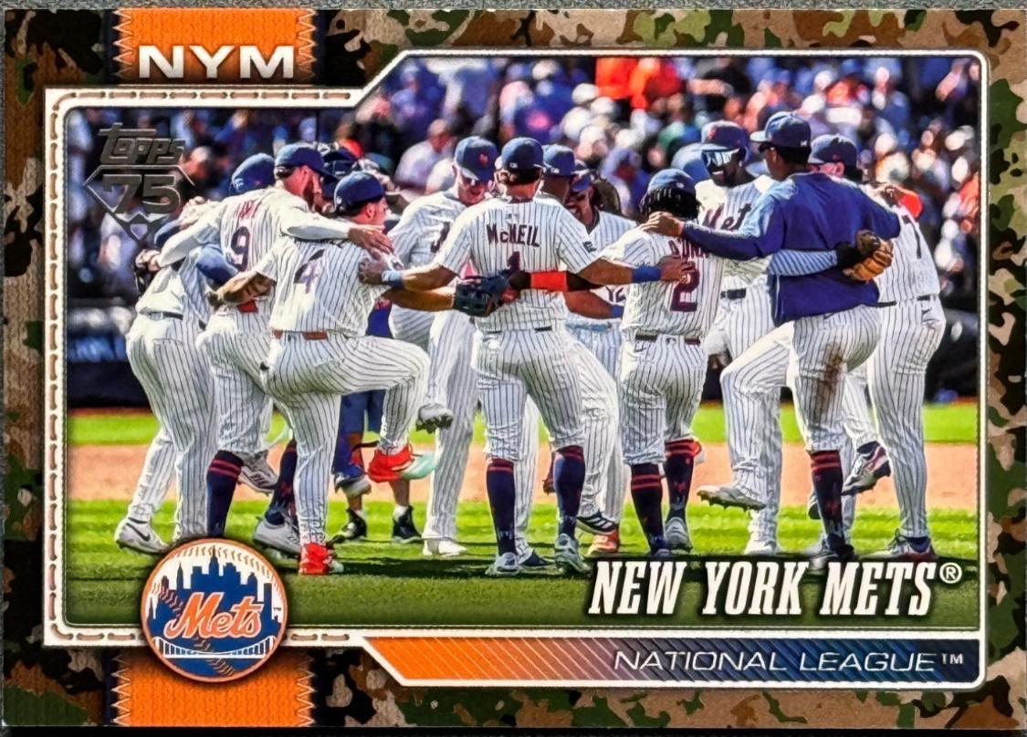New York Mets [Memorial Day Camo] #291