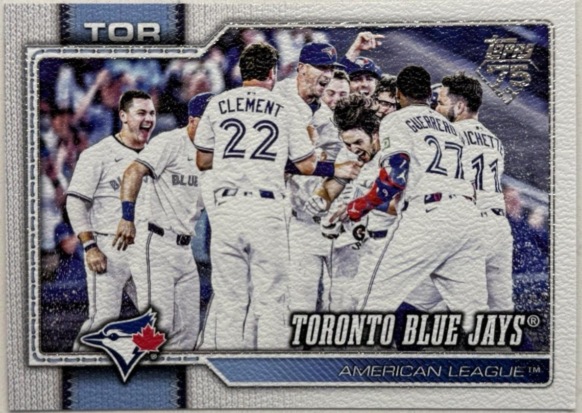 Toronto Blue Jays [Canvas] #113