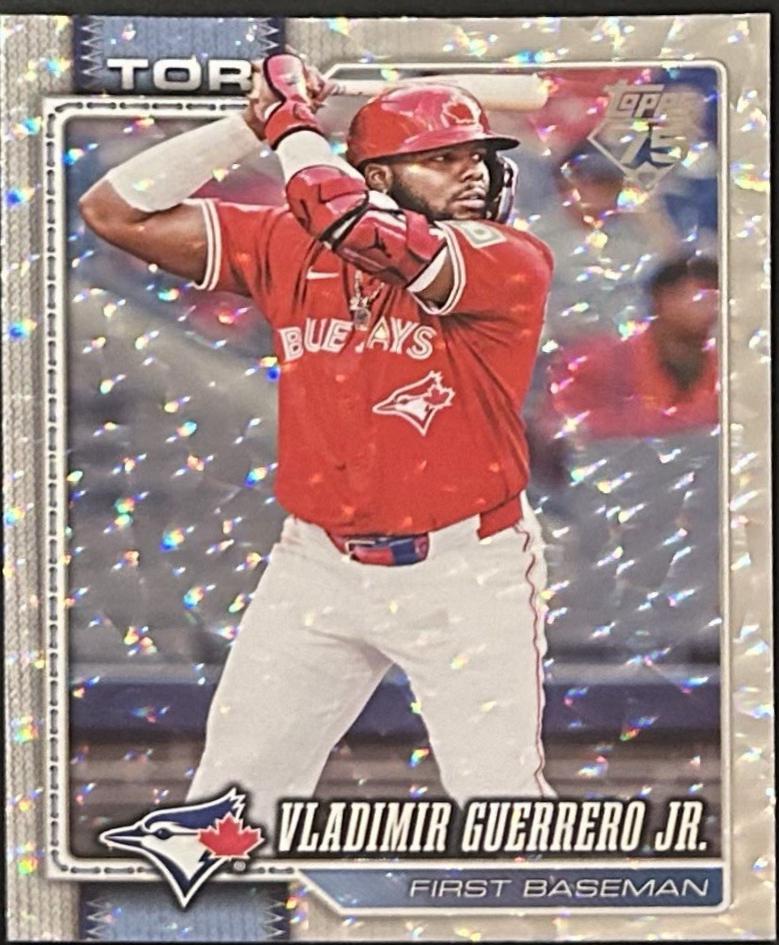 Vladimir Guerrero Jr. [Silver Crackleboard Foil Board] #20