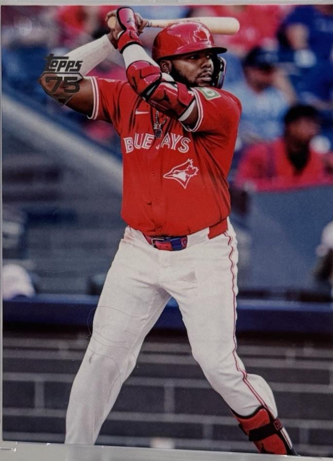 Vladimir Guerrero Jr. [True Photo Variation] #20