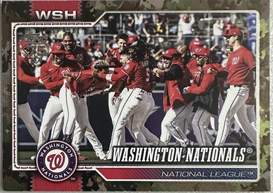 Washington Nationals [Memorial Day Camo] #266