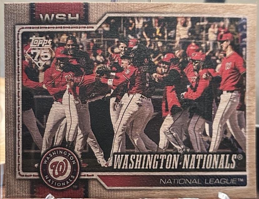 Washington Nationals [Wood] #266