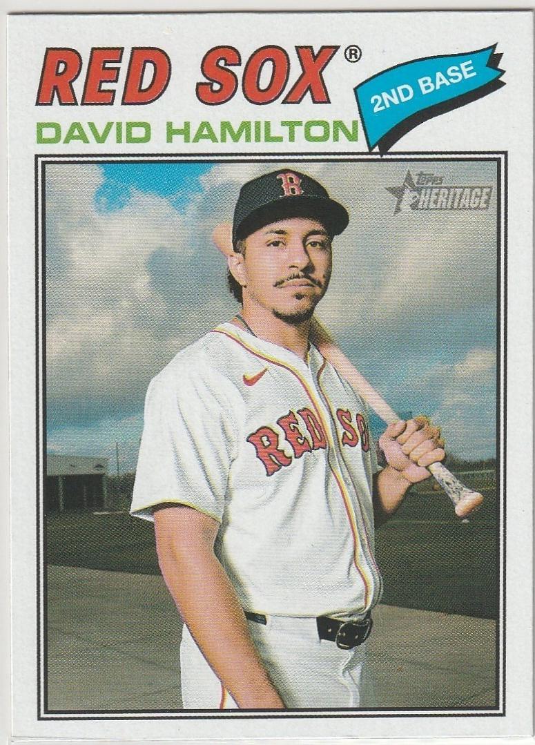 David Hamilton #344
