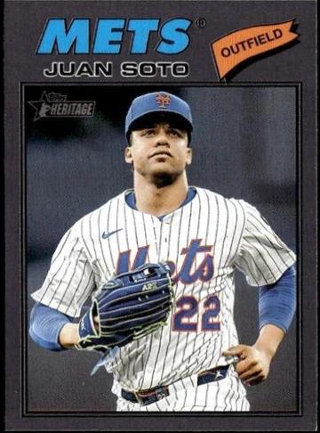 Juan Soto [Dark Gray Bordered] #306