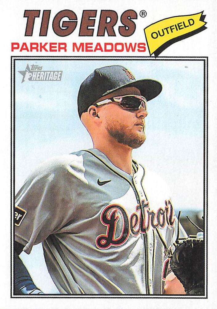 Parker Meadows #208