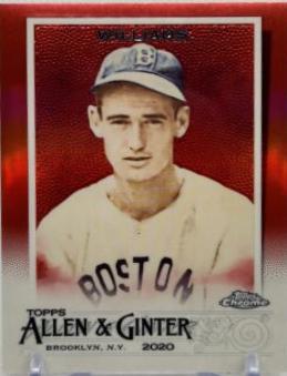 Ted Williams [Red Refractor] #21