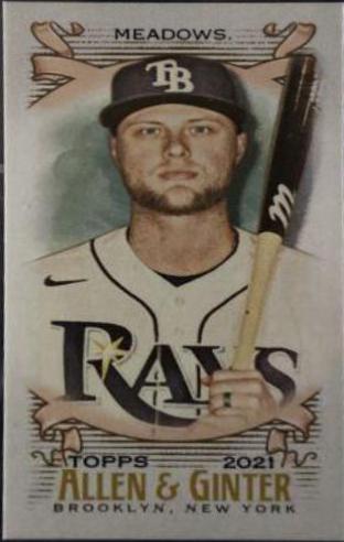 Austin Meadows [Mini Brooklyn Back] #192