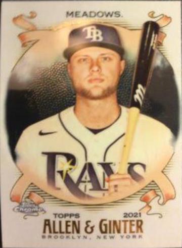 Austin Meadows #192