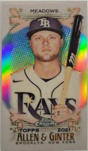 Austin Meadows [Mini] #192