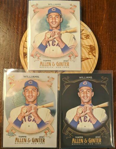 Billy Williams #224