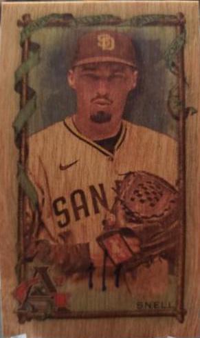 Blake Snell [Mini Wood] #219
