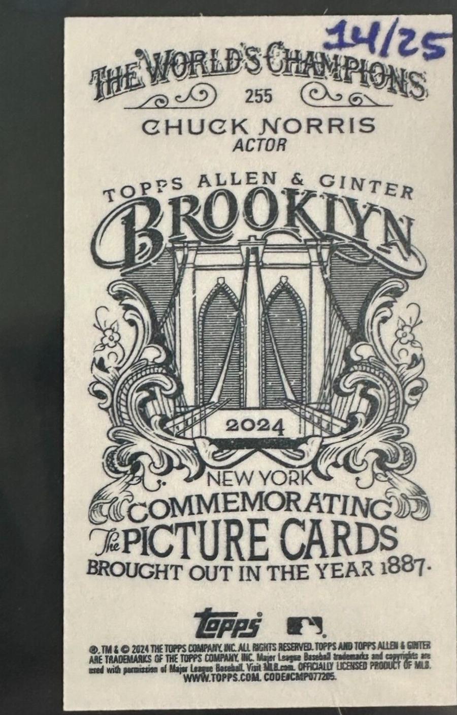 Chuck Norris [Brooklyn Back Mini] #255