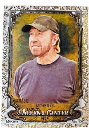 Chuck Norris [Gold Foil Filagree] #255