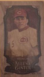 Johnny Bench [Wood Mini] #350