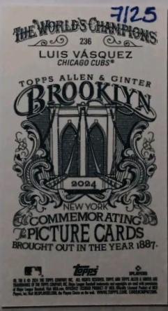 Luis Vazquez [Brooklyn Back Mini] #236