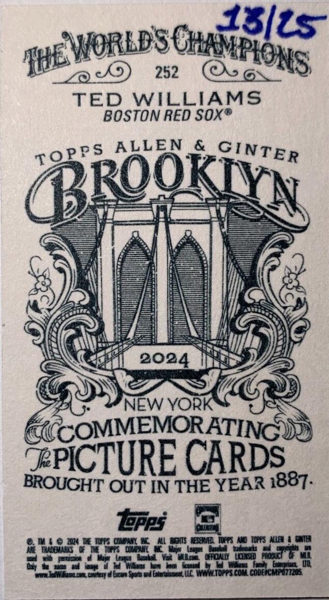 Ted Williams [Brooklyn Back Mini] #252