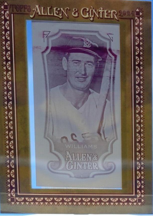 Ted Williams [Framed Mini Printing Plate] #252