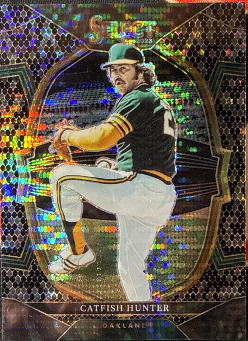 Catfish Hunter [Black Snake Skin Pulsar] #2