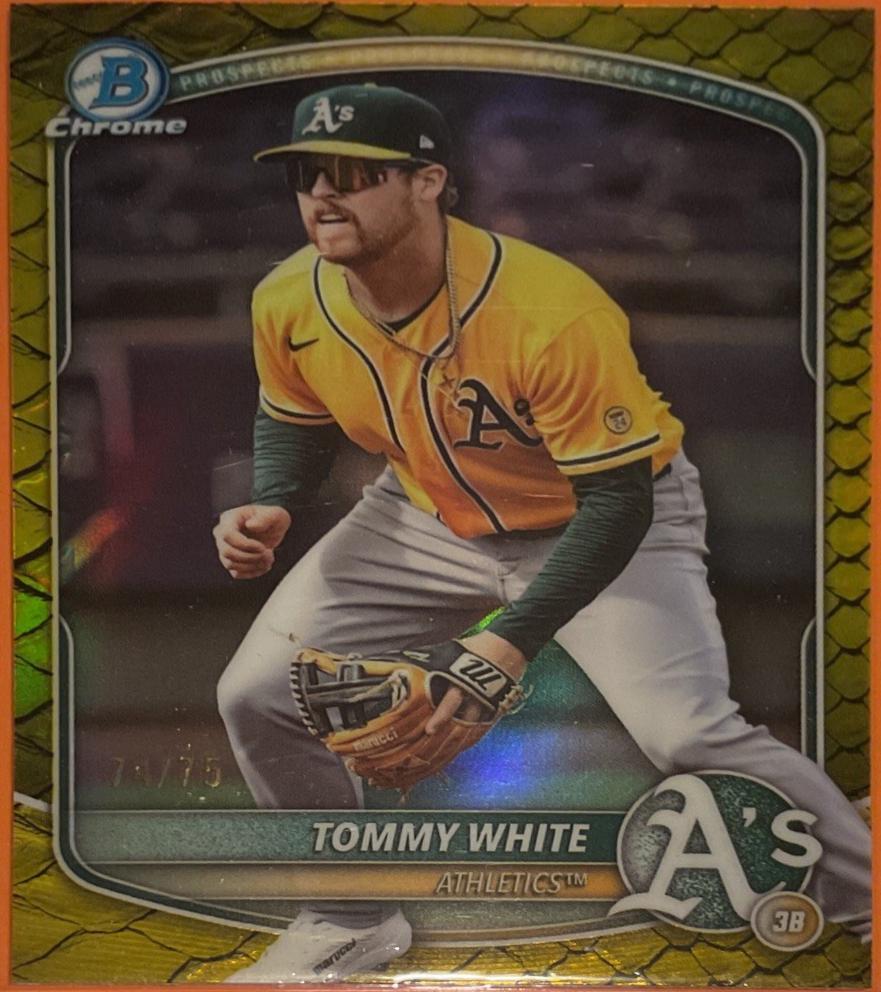 Tommy White [Yellow Reptilian Refractor] #BDC-88
