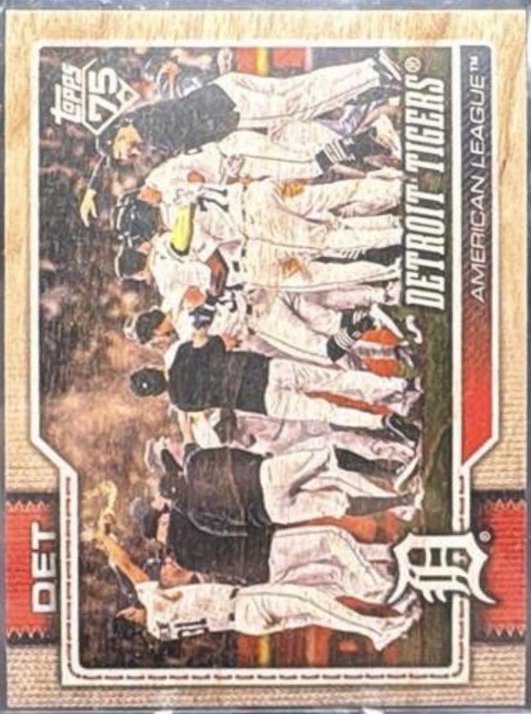 Detroit Tigers [Wood] #262