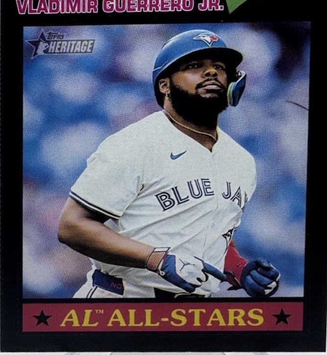 Vladimir Guerrero Jr. [Black Bordered Chrome] #46