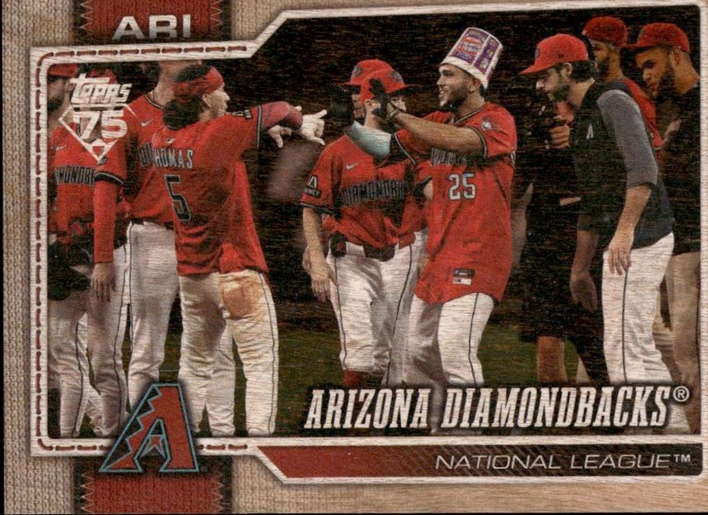 Arizona Diamondbacks [Wood] #47